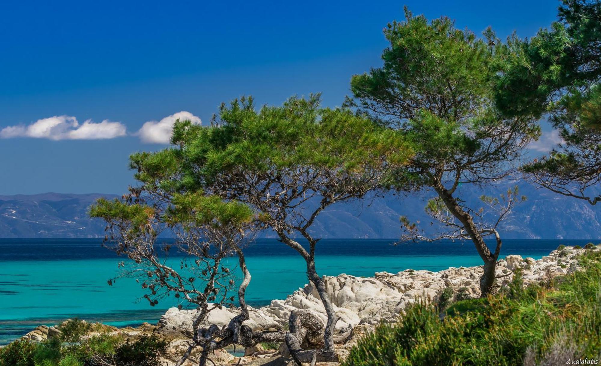 House Michalis Aparthotel Σάρτη Εξωτερικό φωτογραφία