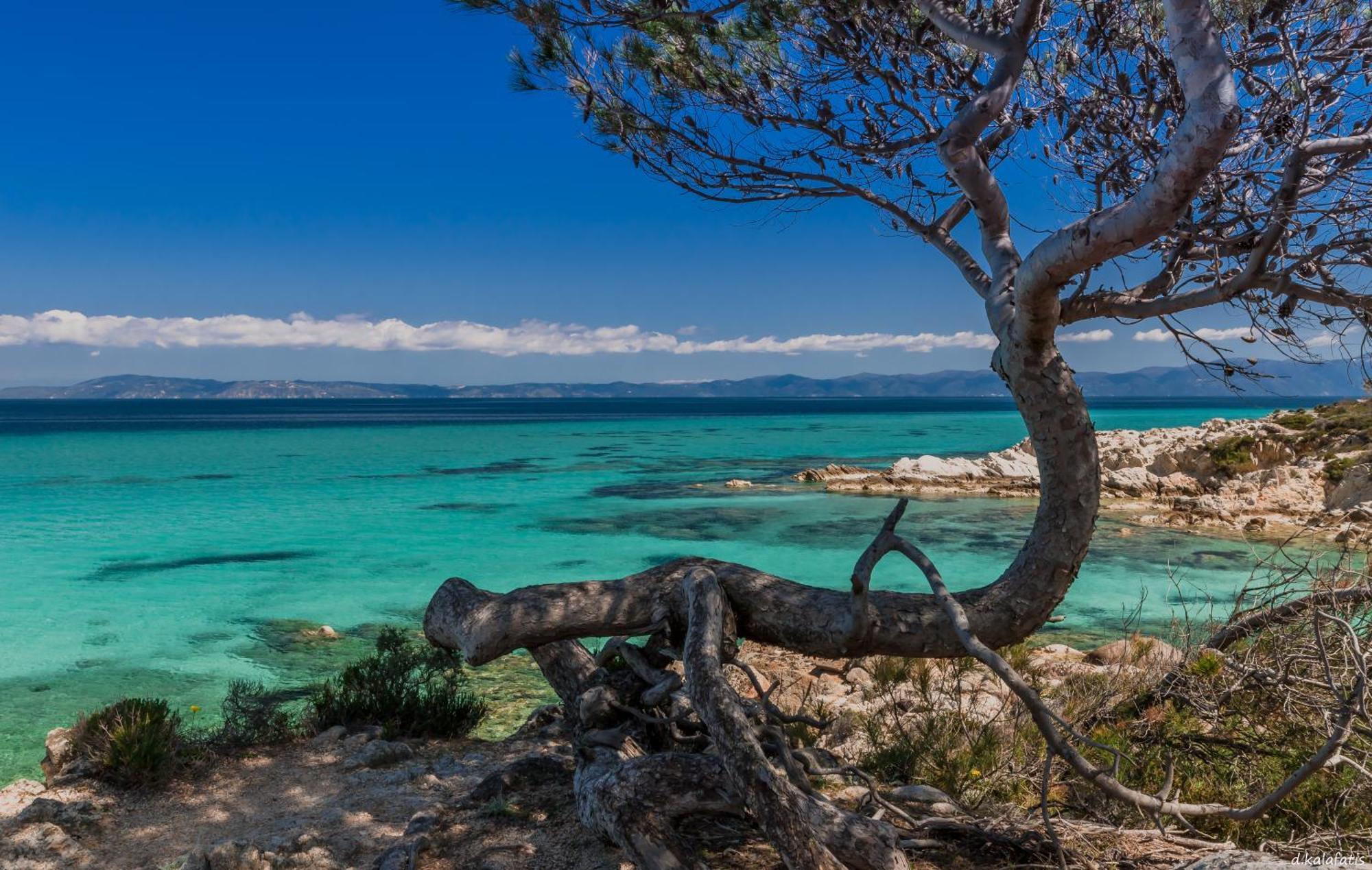 House Michalis Aparthotel Σάρτη Εξωτερικό φωτογραφία