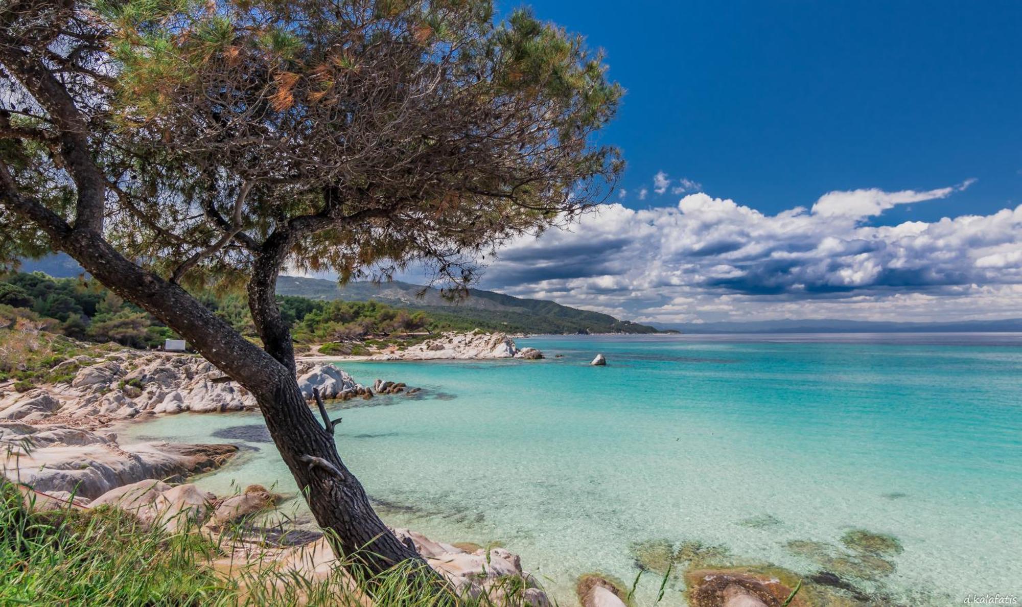 House Michalis Aparthotel Σάρτη Εξωτερικό φωτογραφία